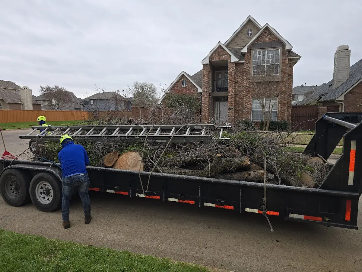 Expert Tree Removal with proper safety equipment in Strongstown